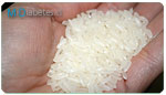 El arroz blanco aumenta riesgo de diabetes tipo 2.